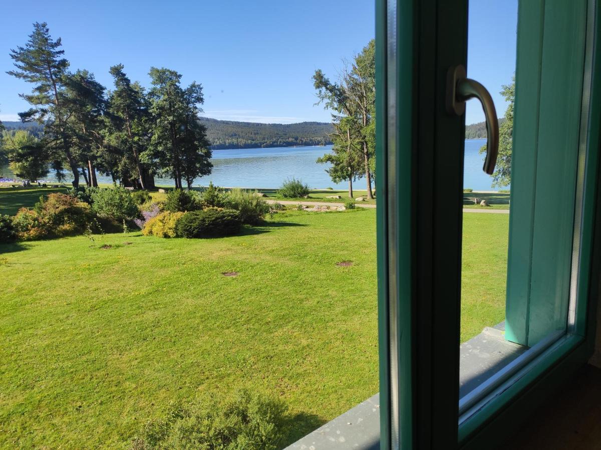 Lipno Riviera - Mysi V Bote Apartment Lipno nad Vltavou Bagian luar foto