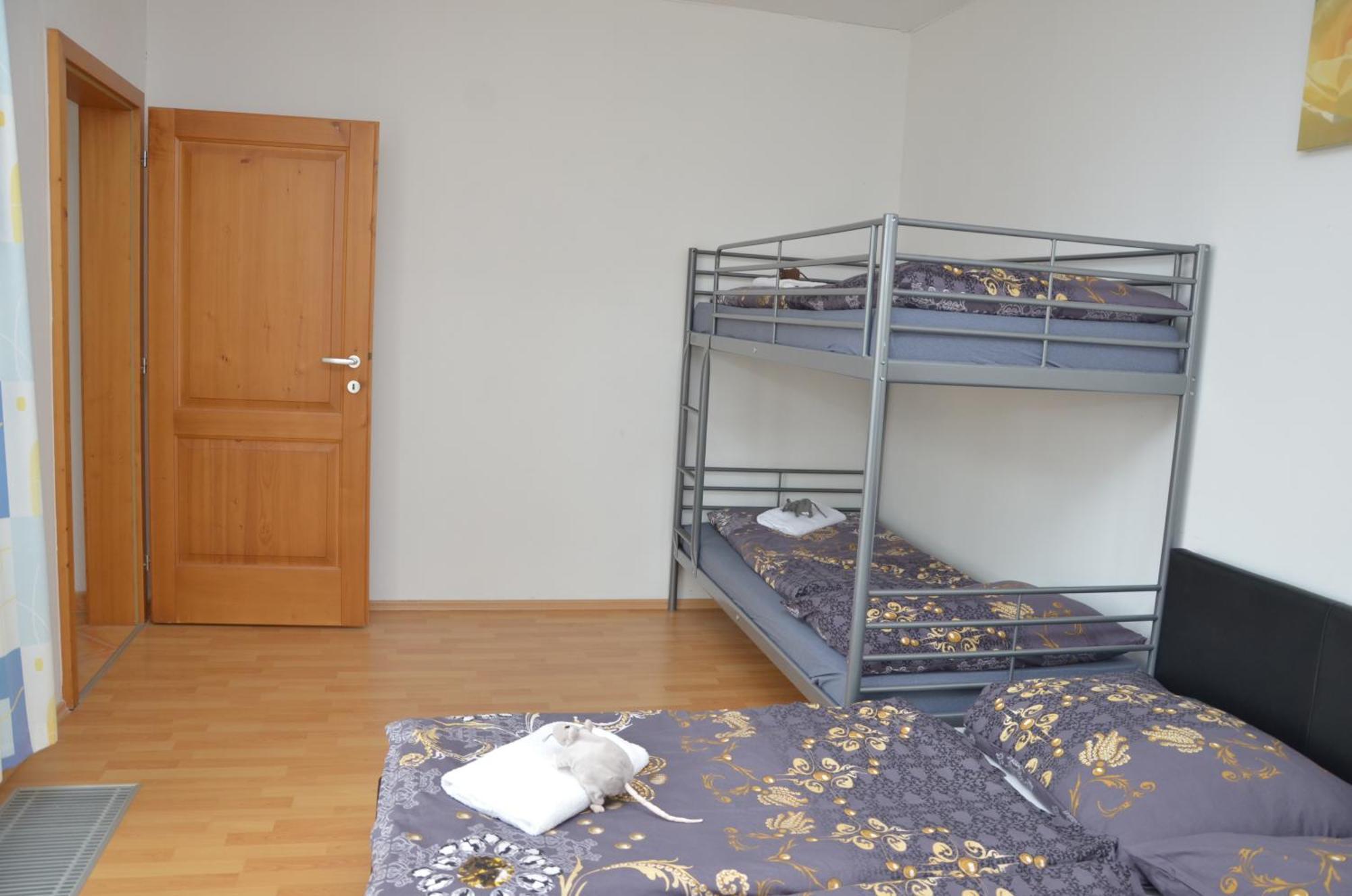 Lipno Riviera - Mysi V Bote Apartment Lipno nad Vltavou Ruang foto